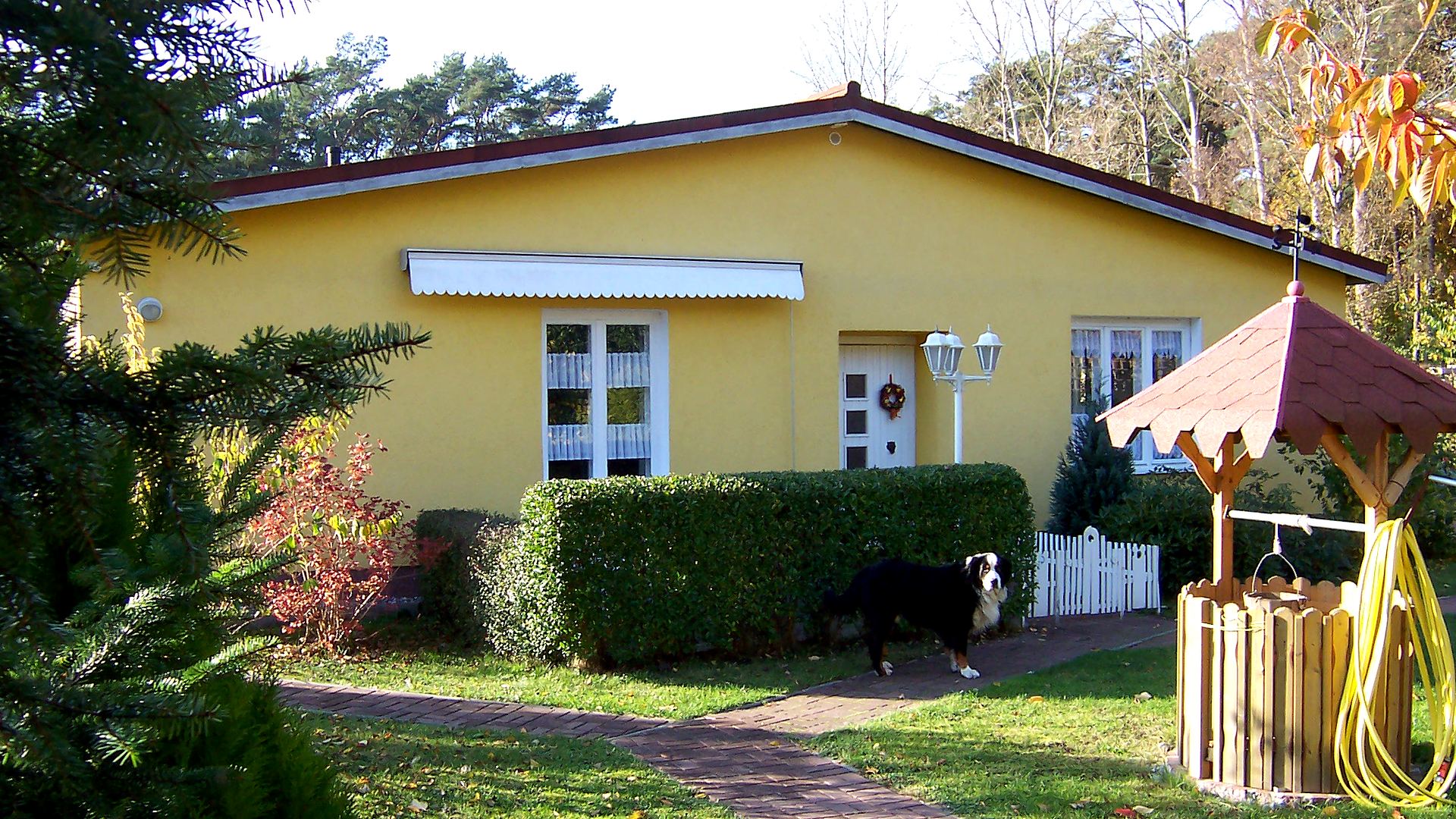 Das Ferienhaus mit der Ferienwohnung Trixi in Prora, umgeben von Garten und Kiefernwald
